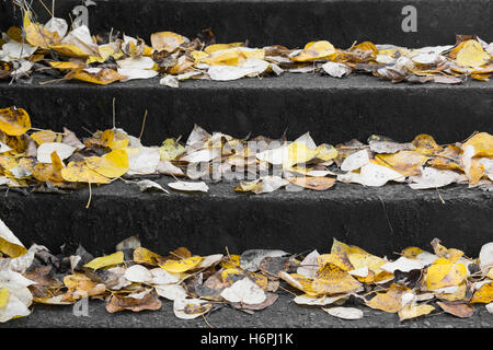 Foglie di autunno sui gradini di pietra Foto Stock