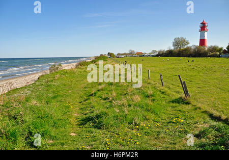 Spiaggia mare spiaggia mare acqua del mar Baltico acqua di sale mare oceano faro striato rosso blu marineria spiaggia marittima Foto Stock