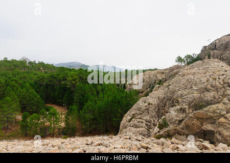 La Natura Corsa e Mountain View. Lungo la cascata di Piscia di Ghjaddu trail. Corse-du-Sud, Corsica, Francia Foto Stock