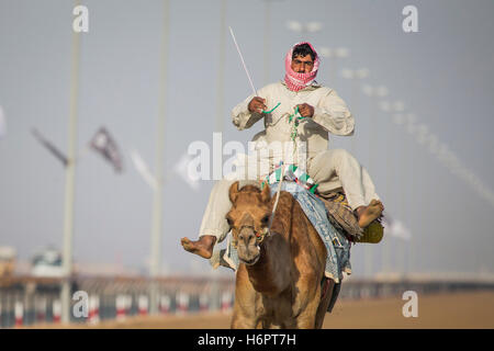 Dubai, UAE, Marzo 24th, 2016: uomo di cammelli di formazione in una pista vicino a Dubai Foto Stock