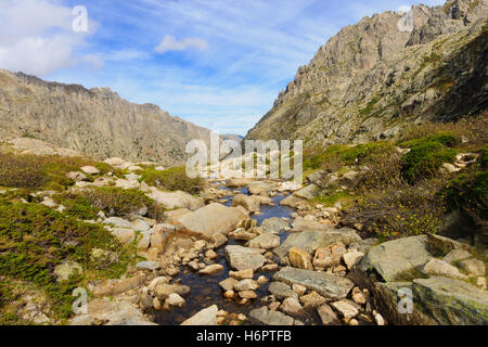 La Restonica Gorge (Gorges de la Restonica) in Corsica, Francia Foto Stock