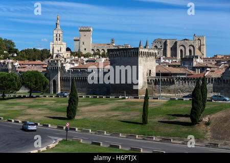 La città di Avignone nel dipartimento di Vaucluse sulla riva sinistra del fiume Rodano, Francia. Foto Stock
