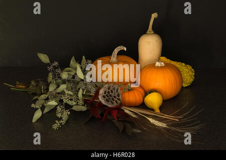 Raccolta ancora vita Foto Stock