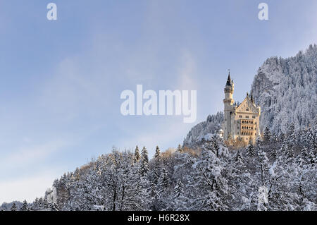 Il castello di Neuschwanstein in inverno Foto Stock