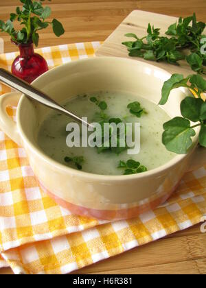 zuppa di crescione Foto Stock