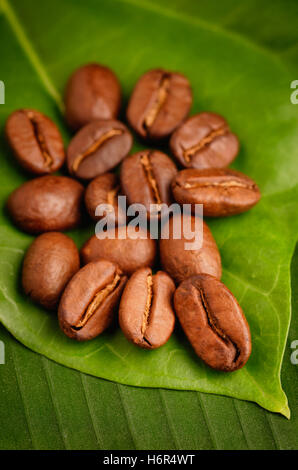 Il commercio equo e solidale caffè organico fagioli su una foglia verde. Foto Stock