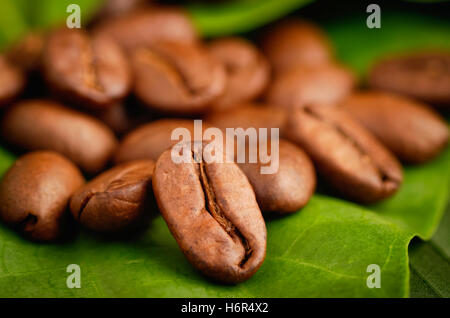 Il commercio equo e solidale caffè organico fagioli su una foglia verde. Foto Stock