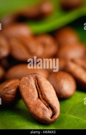 Il commercio equo e solidale caffè organico fagioli su una foglia verde. Foto Stock