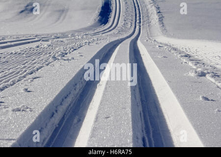 Inverno bavaria sport invernali langlauf sci di fondo neve blu di azionamento di sollevamento elevatore beauteously bella bella la salute Foto Stock