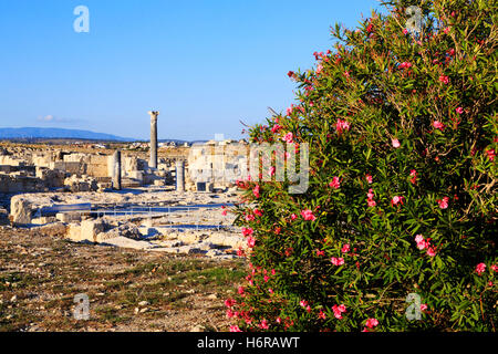 Rovine romane di antica Kourion, Curio, Cipro. Foto Stock