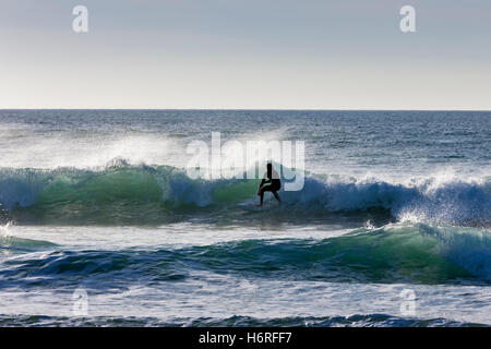 In una mite giornata autunnale, Costantino, Padstow, Cornwall, Inghilterra. Il 31 ottobre 2016. Cavalcare le onde, surfisti prendere pieno vantaggio in arrivo Spring Tide, molto mite, mare caldo temperature per il periodo dell'anno. Credito: Barry Bateman / Alamy Live News Foto Stock