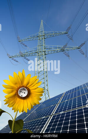 Energia elettrica Energia elettrica Energia elettrica fiore pianta di girasole presa montante corrente energia solare ambiente blu Foto Stock