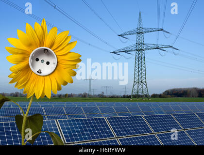 Energia elettrica Energia elettrica Energia elettrica fiore pianta di girasole presa di energia solare fotovoltaico fotovoltaico blu Foto Stock