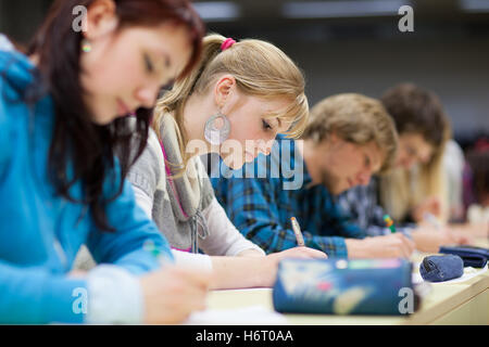 Istruzione class studente università istituto scolastico istituto scolastico istituto di istruzione college campus Foto Stock