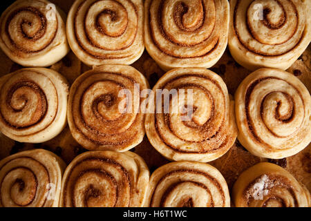 Cibo aliment pane dolce isolato vasto deserto bruno marrone brunette zucchero torta di pasticceria torte torta a spirale gourmet greggio di origine Foto Stock