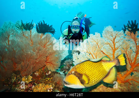 Sport acquatici Foto Stock