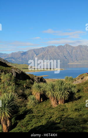 Lago hawea,Nuova Zelanda Foto Stock