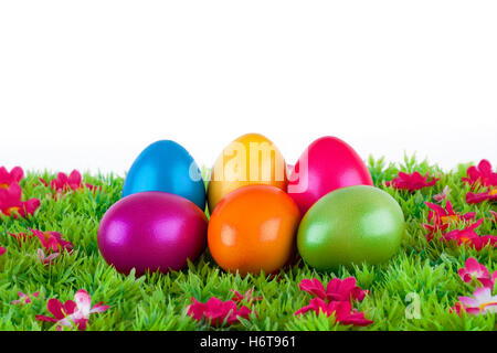 Verniciato colorato le uova per la Pasqua con i fiori sul prato Foto Stock