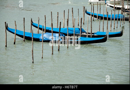 corsa della nave Foto Stock