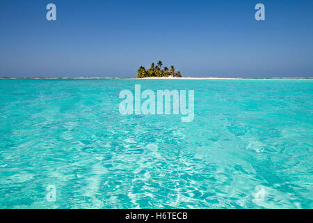 Casa vacanze vacanze vacanze mare spiaggia La spiaggia seashore palms il South Seas sogno spiaggia dei Caraibi acqua di sale di mare Foto Stock