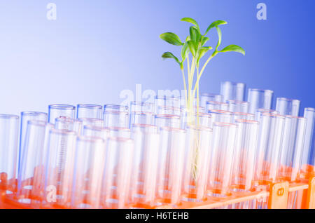 Vetro, calice, tumbler, cibo, aliment, leaf, eco, consumo, esperimento, Foto Stock