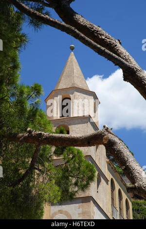 Chiesa, culto, luogo, religione, pino, Albero, costruzione, di, architettura, Cristianesimo, cielo, esterno, bianco, vecchio, verde, Europa Foto Stock