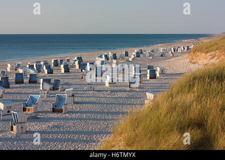 Spiaggia con sdraio in spiaggia a Kampen a sylt nella luce della sera Foto Stock