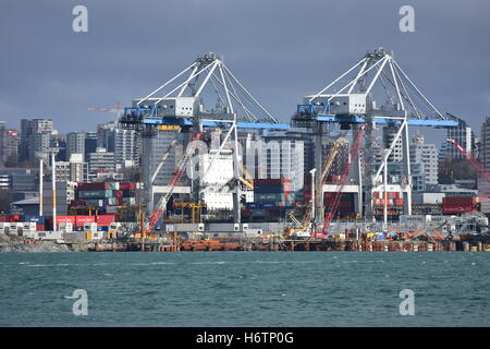 Una vista dei porti di Auckland con sobborghi di Auckland in background. Foto Stock