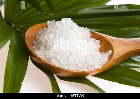 Foglia di sale relax per la salute di piante e fiori di colore verde tendente al marrone marrone brunette il benessere della pelle di zucchero fango pacifica di bambù petalo di pace Foto Stock