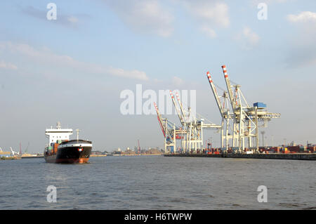 La nave alimentatore  Foto Stock