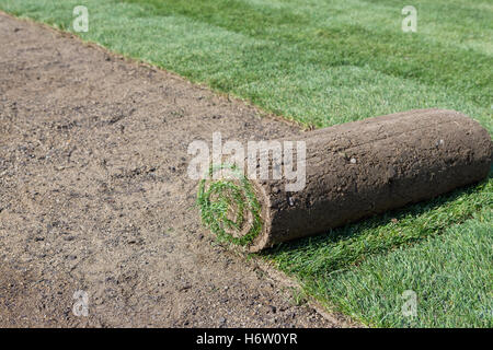 campi in erba Foto Stock