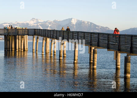 Hurden-Steg passerella sull'Jakobsweg, modo di St James in Rapperswil, Svizzera, Europa Foto Stock