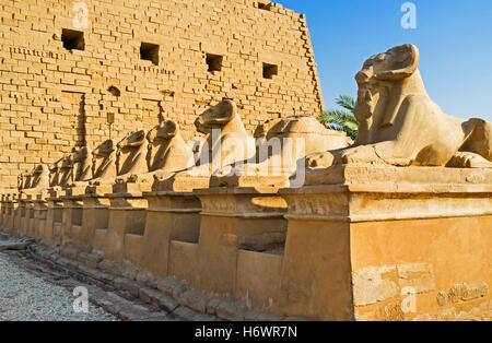 La fila delle Sfingi dalla testa d'ariete guardia dell'ingresso al Tempio di Karnak a Luxor, Egitto. Foto Stock