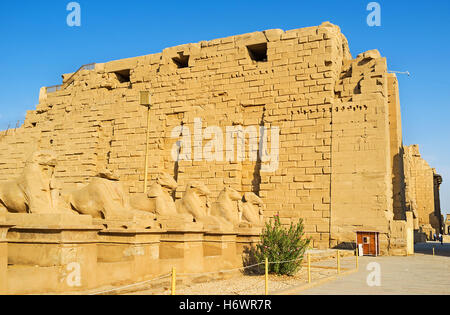 Le grandi statue di Sfingi dalla testa d'ariete stand lungo la via per il tempio di Karnak a Luxor, Egitto. Foto Stock