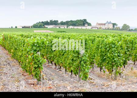 Disposizione travel agricoltura agricoltura vigneto europa francia fuori stile di costruzione di architettura in stile architettonico Foto Stock