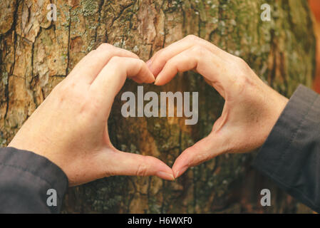 Mani femminili gesticolando forma di cuore segno sul tronco di albero, ecologia e ambiente concetto per gli amanti della natura Foto Stock