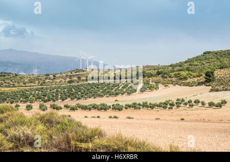 Le turbine eoliche su di un colle e gli ulivi Foto Stock