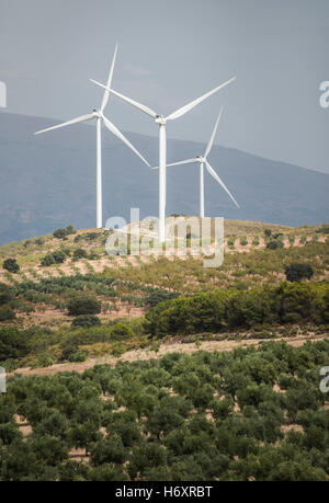 Le turbine eoliche su di un colle e gli ulivi Foto Stock