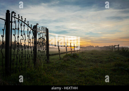 Misty giorno di ottobre a Somerset, con nebbia che rotola sui campi e un cancello di ferro battuto adiacente alla recinzione Foto Stock