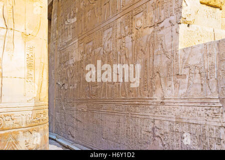 La parete in Kom Ombo Tempio decorato con bassorilievi di divinità e geroglifici, Egitto. Foto Stock