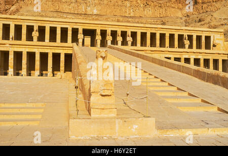 La pietra falcon è uno dei pochi sopravvissuti statue nel Tempio di Hatshepsut, che erano stati distrutti dopo la sua morte, Luxor, Egitto. Foto Stock