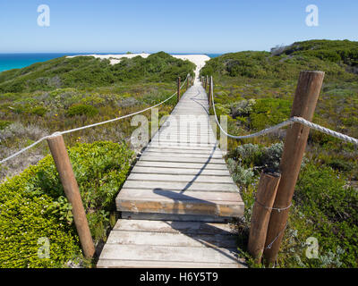 Passerella in legno attraverso le dune di verde in un oceano turchese. Prese a De Hoop Riserva Naturale in Sud Africa. Foto Stock