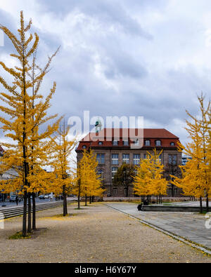 Invalidenpark, Berlino. Il ministero federale per gli Affari Economici e l'energia esterno dell'edificio con golden gingko alberi in autunno. Foto Stock