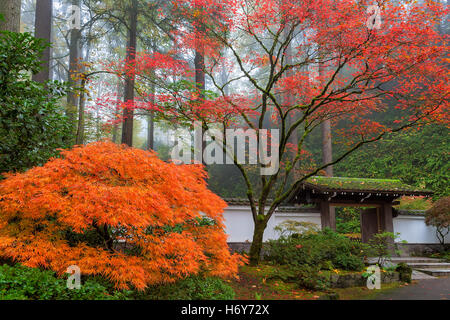 Gateway a Portland giardino giapponese nell'autunno del 2014 Foto Stock