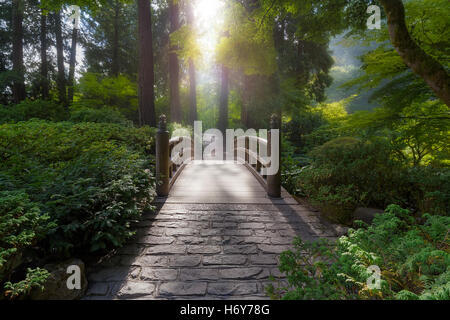 La luce del mattino sulla Luna il ponticello del giardino giapponese Foto Stock