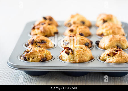 Appena sfornato muffin ai mirtilli in un muffin tin Foto Stock