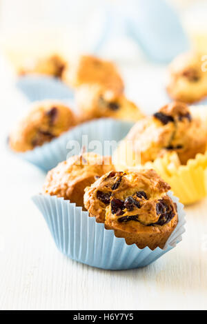 Pane appena sfornato cranberry mini muffin in una carta blu stampi Foto Stock