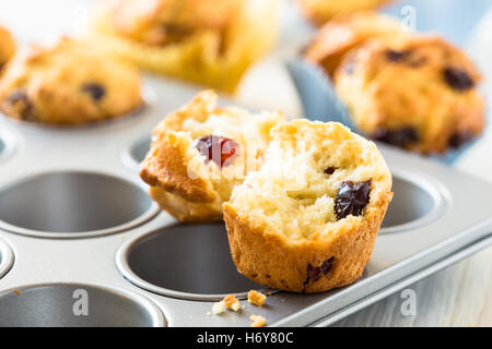 Appena sfornato muffin ai mirtilli in un muffin tin Foto Stock