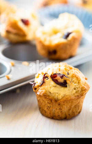 Appena sfornato muffin ai mirtilli in un muffin tin Foto Stock