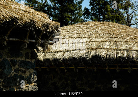 Close-up di dettaglio con il tetto di paglia con tetto di paglia case. seongeup folk village. jeju. sth COREA Foto Stock